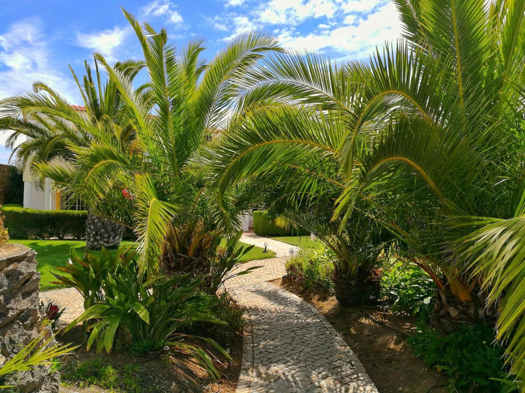 Luz Bay Hotel מראה חיצוני תמונה